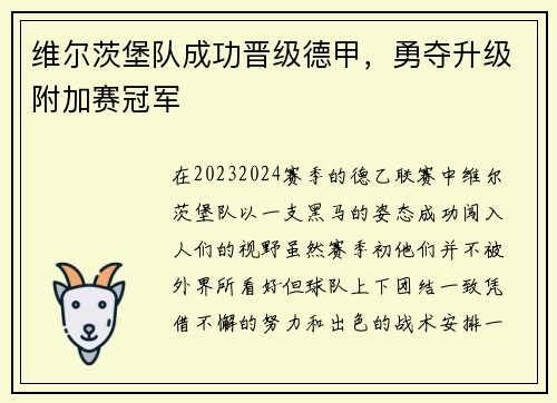 维尔茨堡队成功晋级德甲，勇夺升级附加赛冠军