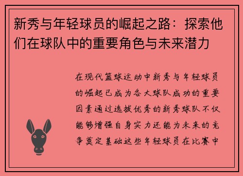 新秀与年轻球员的崛起之路：探索他们在球队中的重要角色与未来潜力
