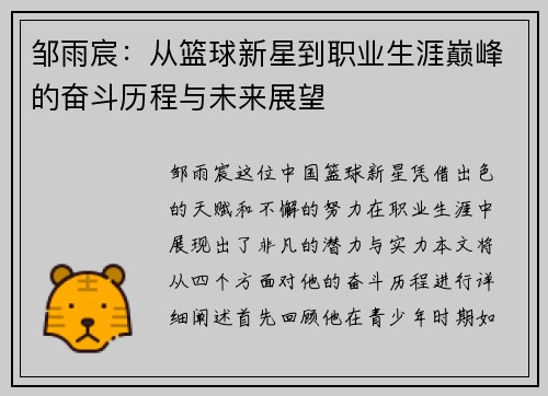 邹雨宸：从篮球新星到职业生涯巅峰的奋斗历程与未来展望