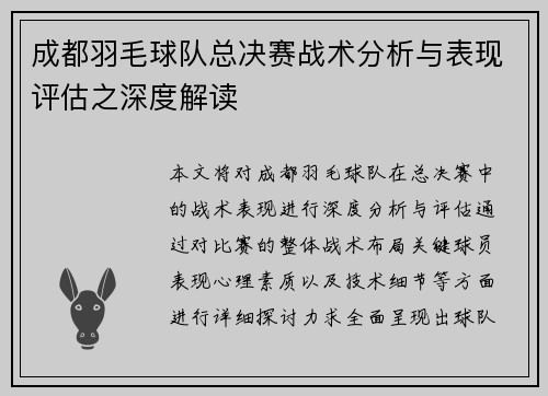 成都羽毛球队总决赛战术分析与表现评估之深度解读